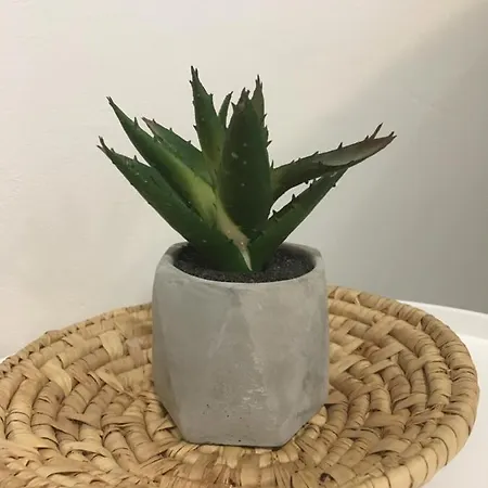 Huoneisto Starhomes Oulu, Double *